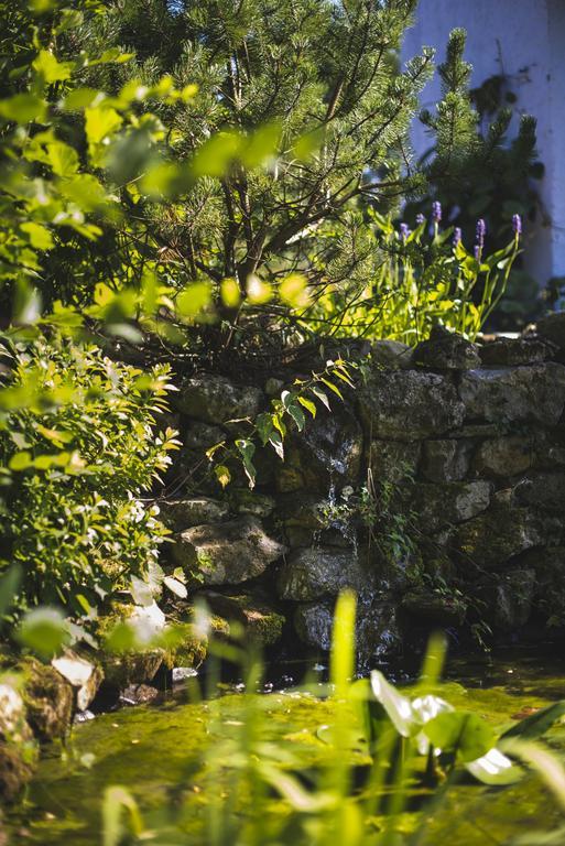 Rimont Domaine De Terrac B&B 외부 사진