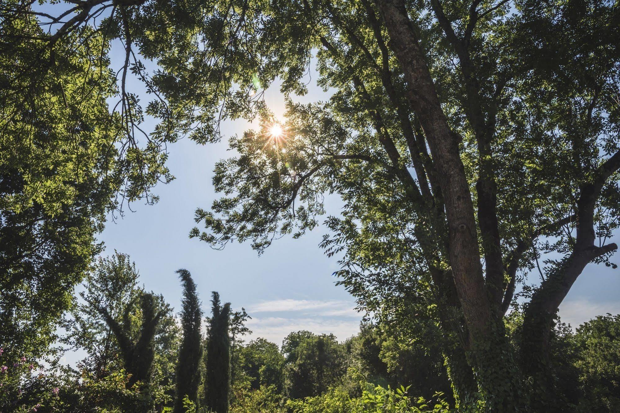 Rimont Domaine De Terrac B&B 외부 사진