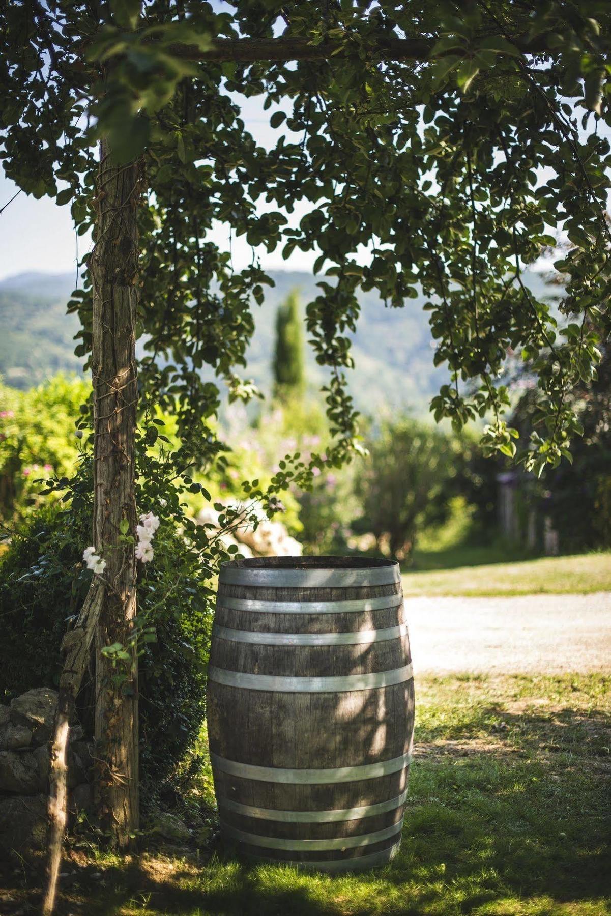 Rimont Domaine De Terrac B&B 외부 사진